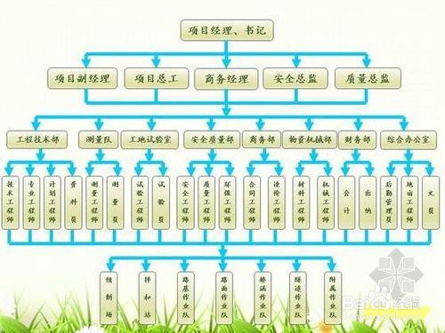 最新组织处理概览及要点分析✨