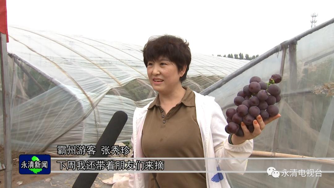 永清环保股价动态，绿色宝藏与小街经济的联动发展分析
