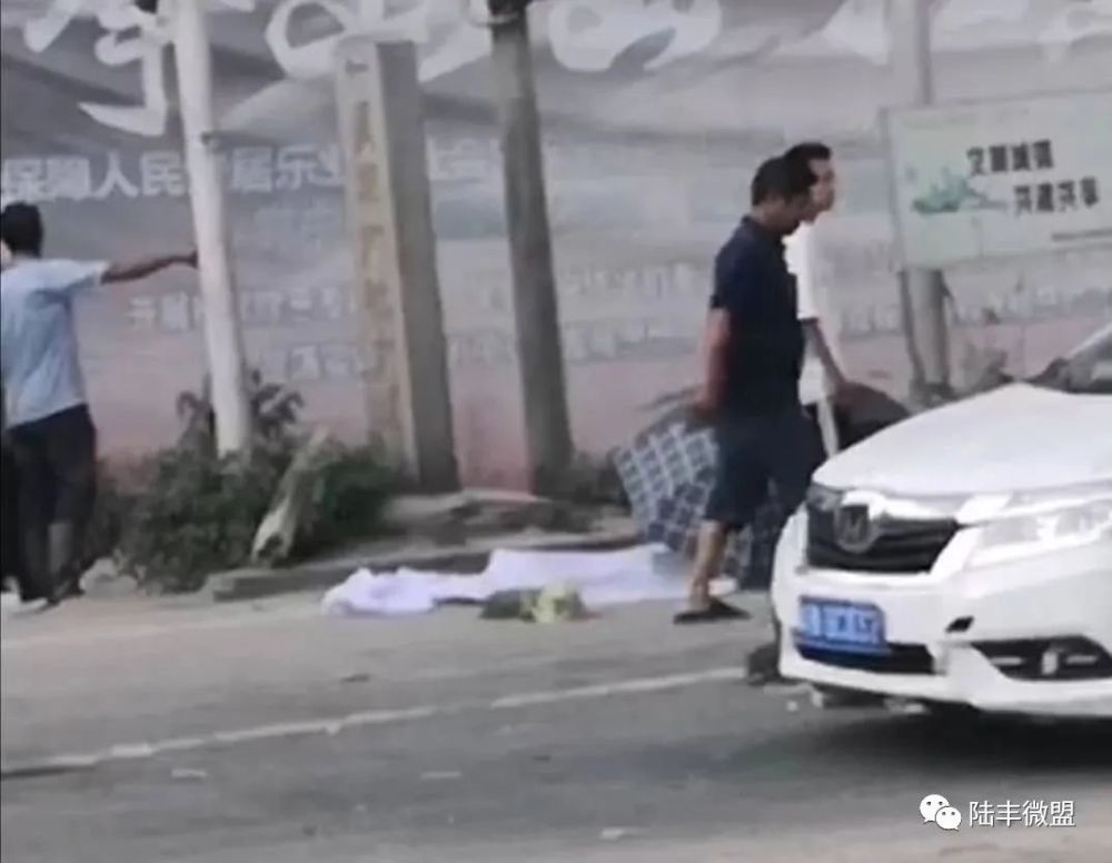 陆丰车祸事件最新消息，痛心事故震撼人心！